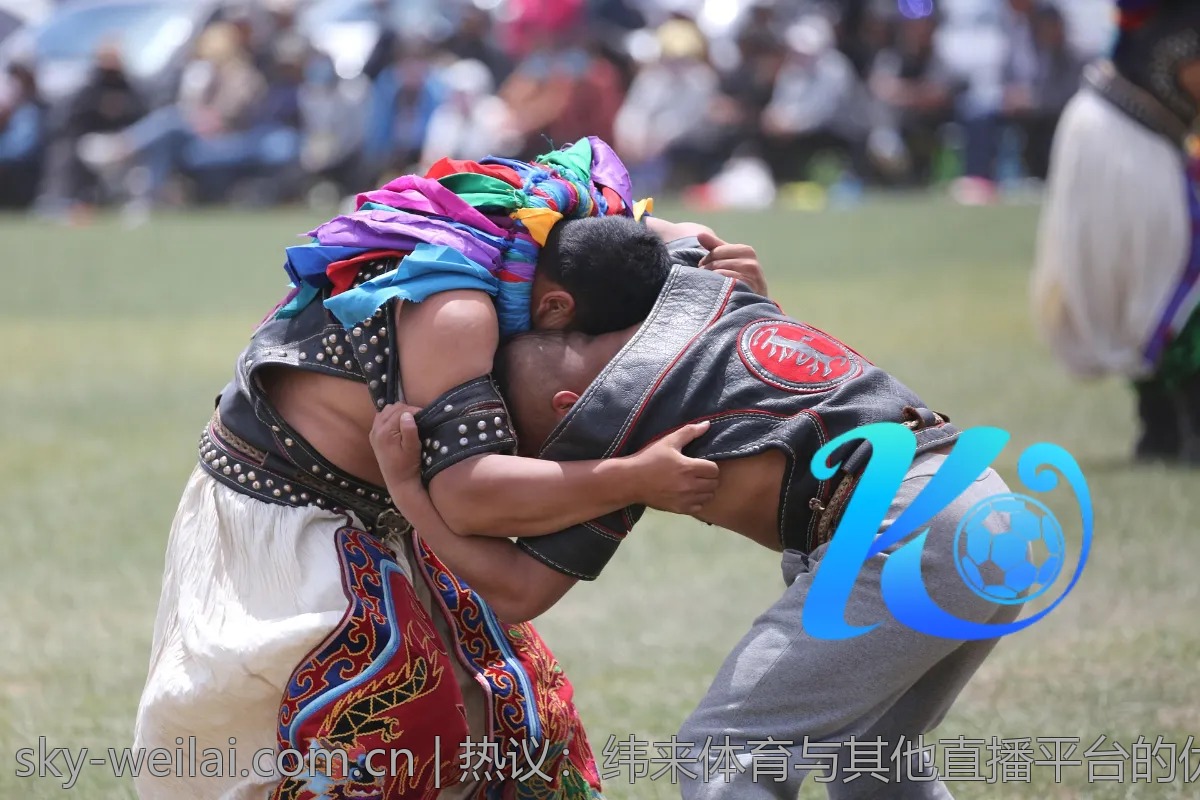 热议：纬来体育与其他直播平台的优缺点对比