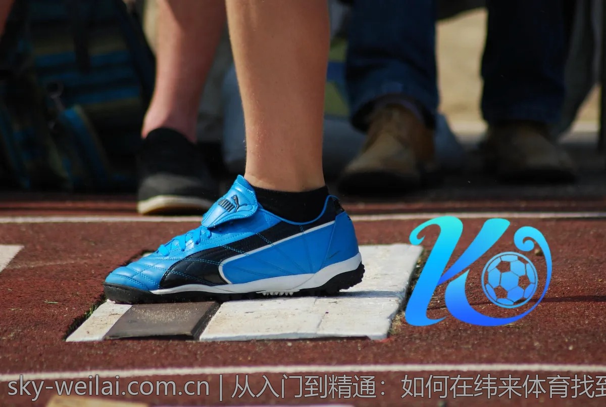 从入门到精通：如何在纬来体育找到自己喜欢的赛事