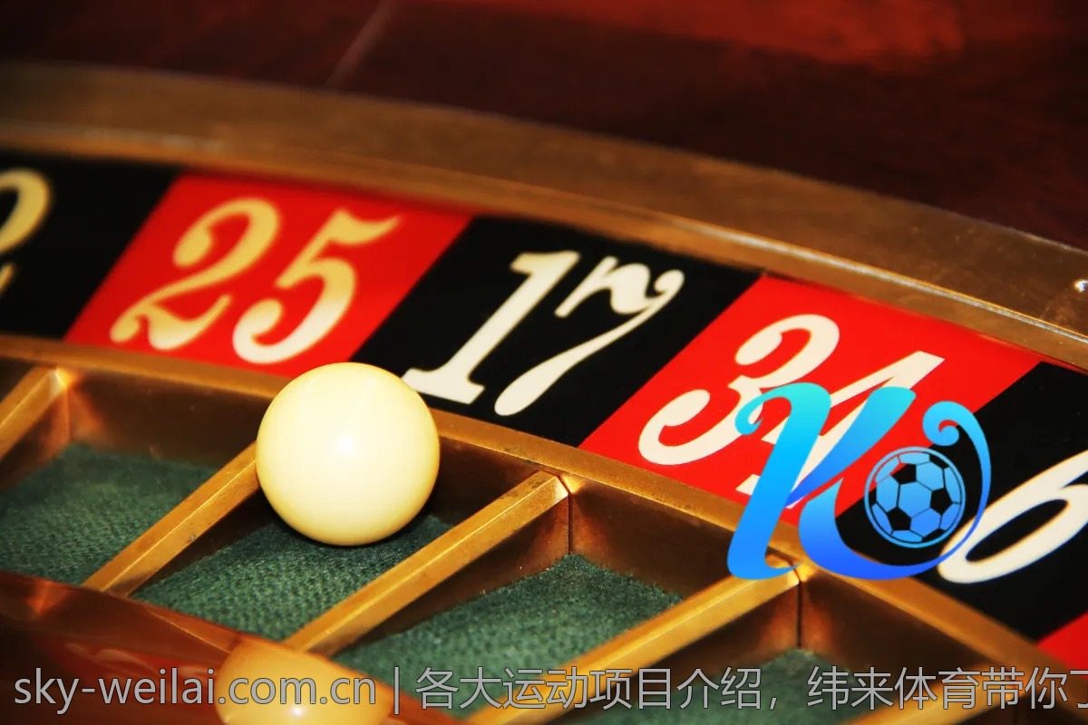 各大运动项目介绍，纬来体育带你了解更多