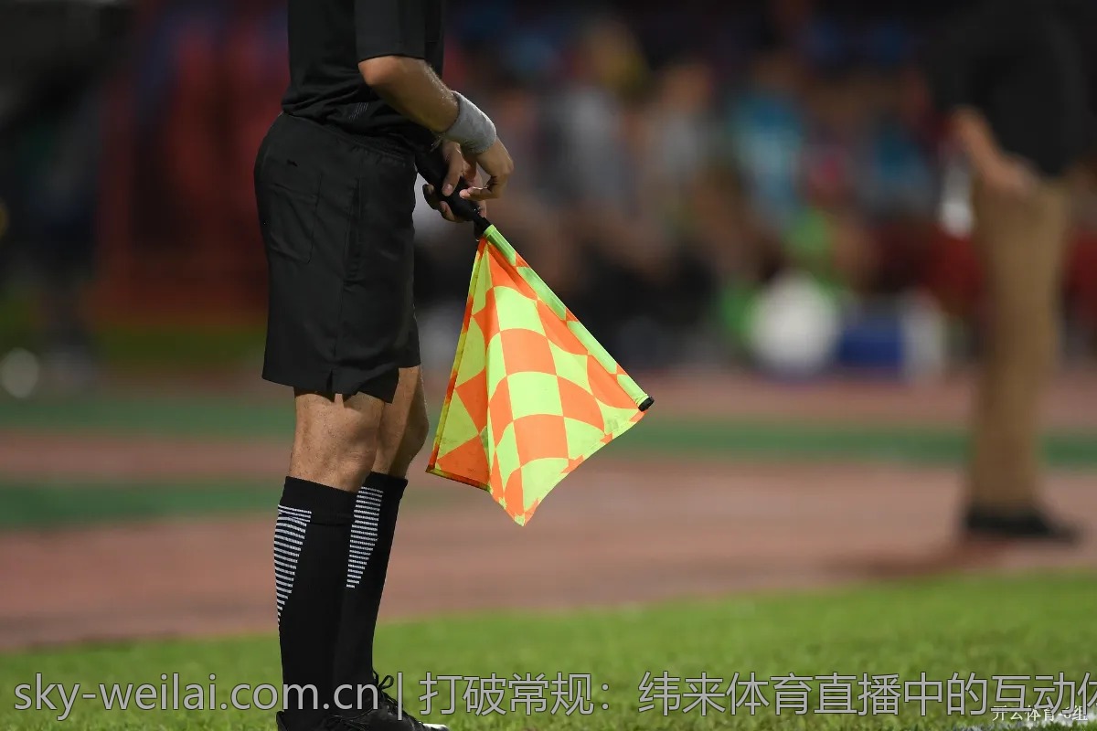 打破常规：纬来体育直播中的互动体验分享
