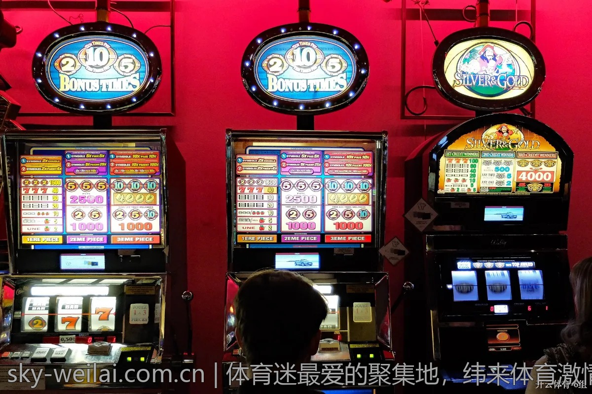 体育迷最爱的聚集地，纬来体育激情无限