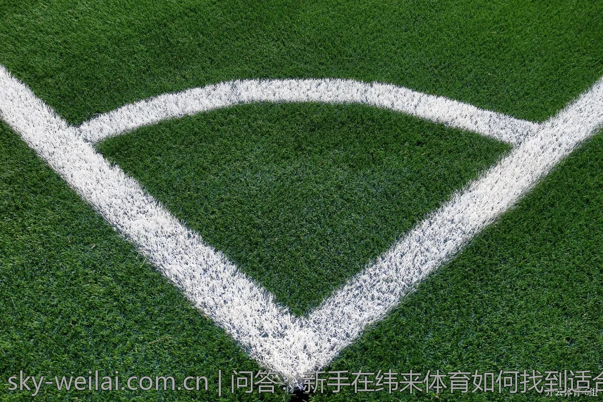 问答：新手在纬来体育如何找到适合的赛事观看？