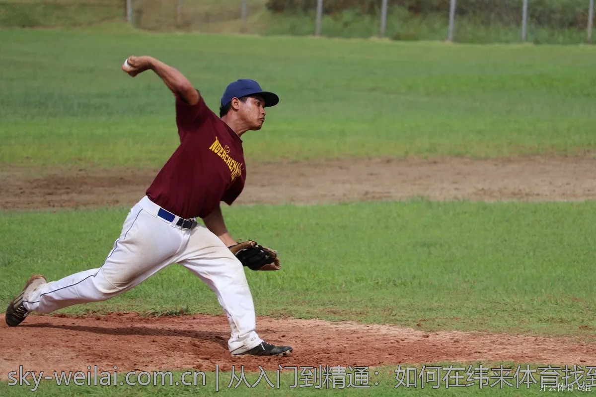 从入门到精通：如何在纬来体育找到自己喜欢的赛事