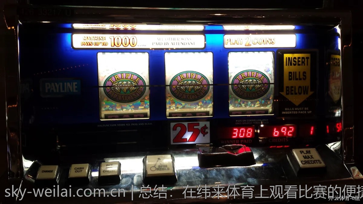 借助纬来体育，快速掌握赛事动态与资讯小窍门