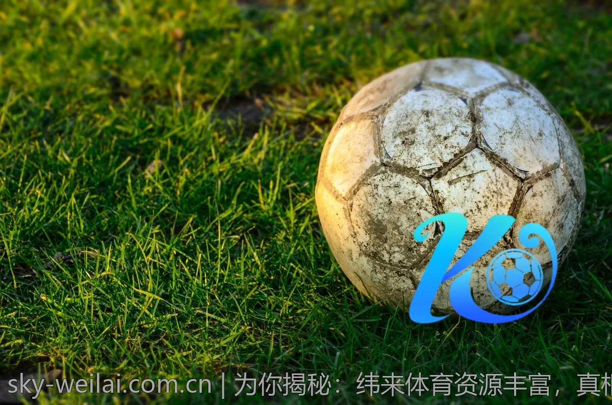 给大家推荐：如何利用纬来体育提升观看体验