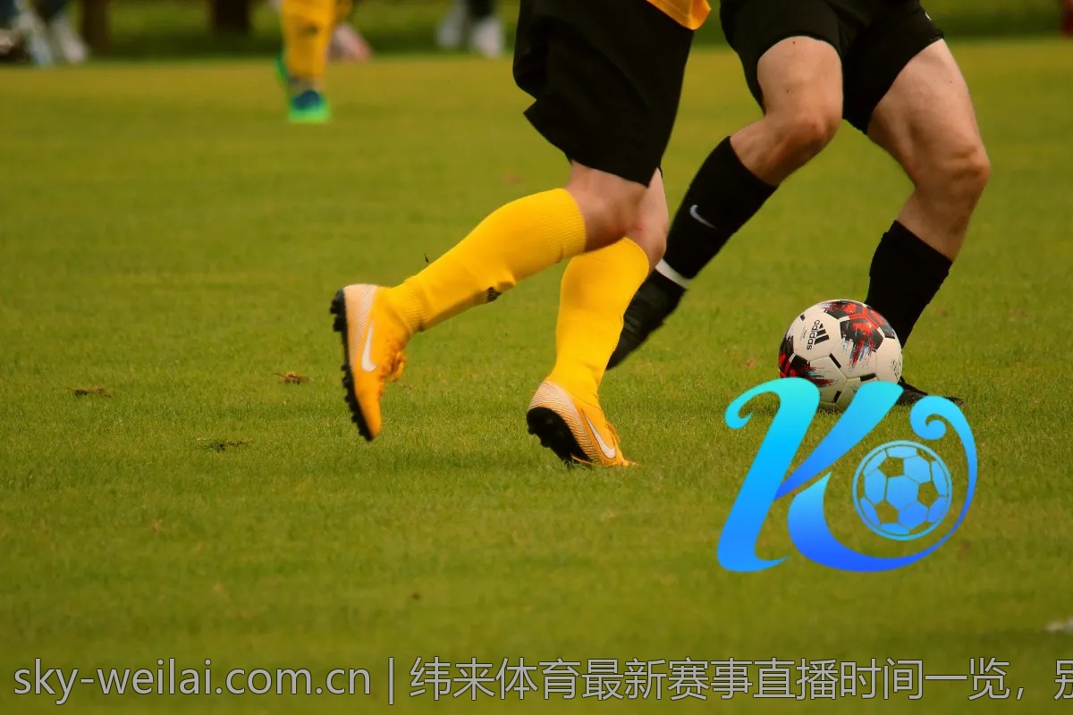 纬来体育最新赛事直播时间一览，别错过精彩比赛